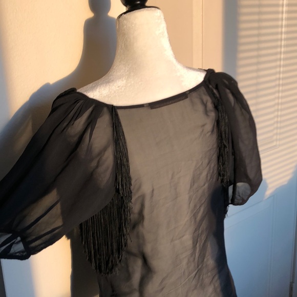 Like New Sheer Silk Fringe Top/Blouse - Picture 2 of 8